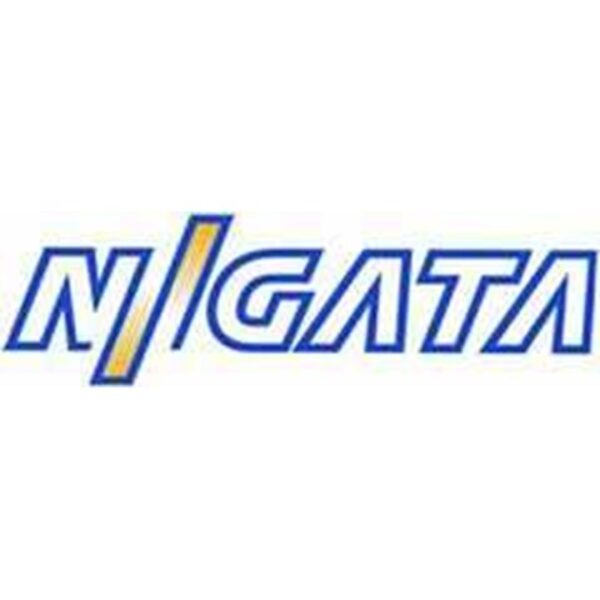 Niigata Spare Parts