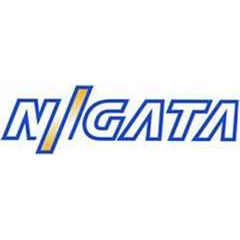 Niigata Spare Parts